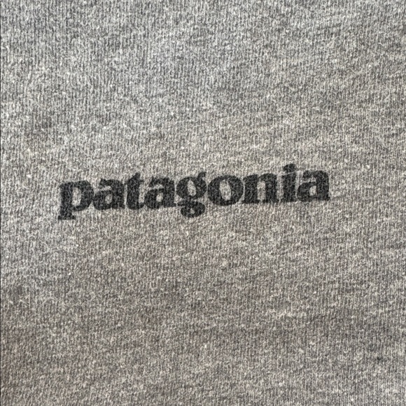 Patagonia Men's Heather Gray Short Sleeve Tee size L - Picture 3 of 4